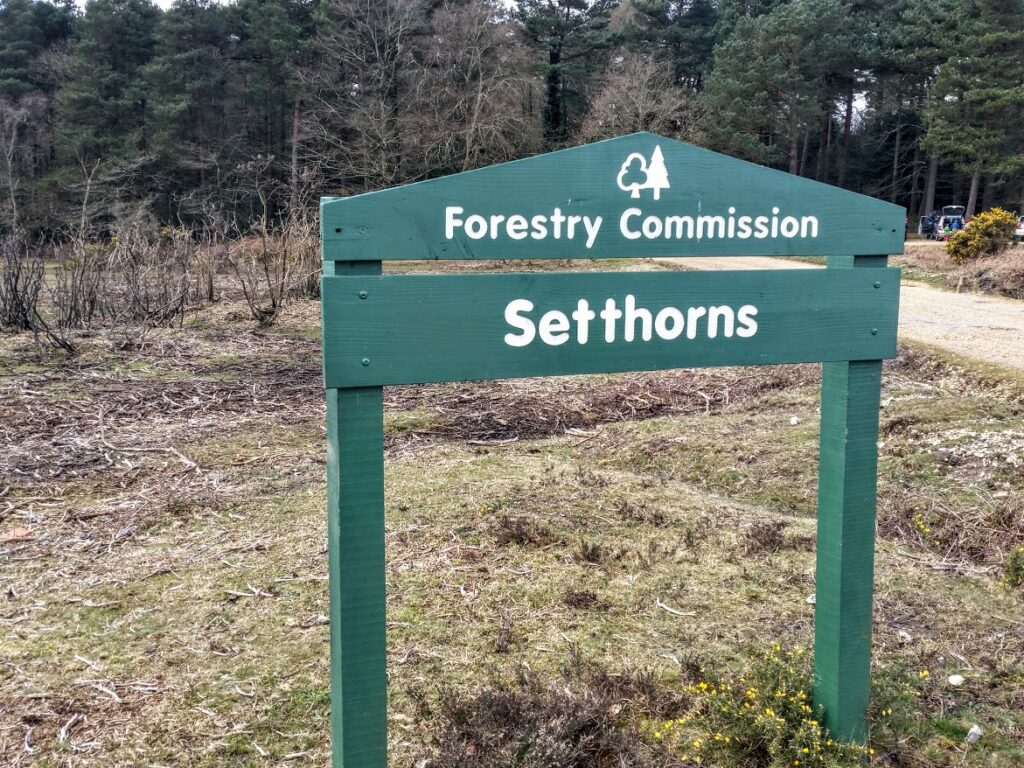 Easter at Setthorns in the New Forest