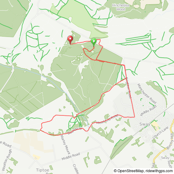 Walk in the New Forest