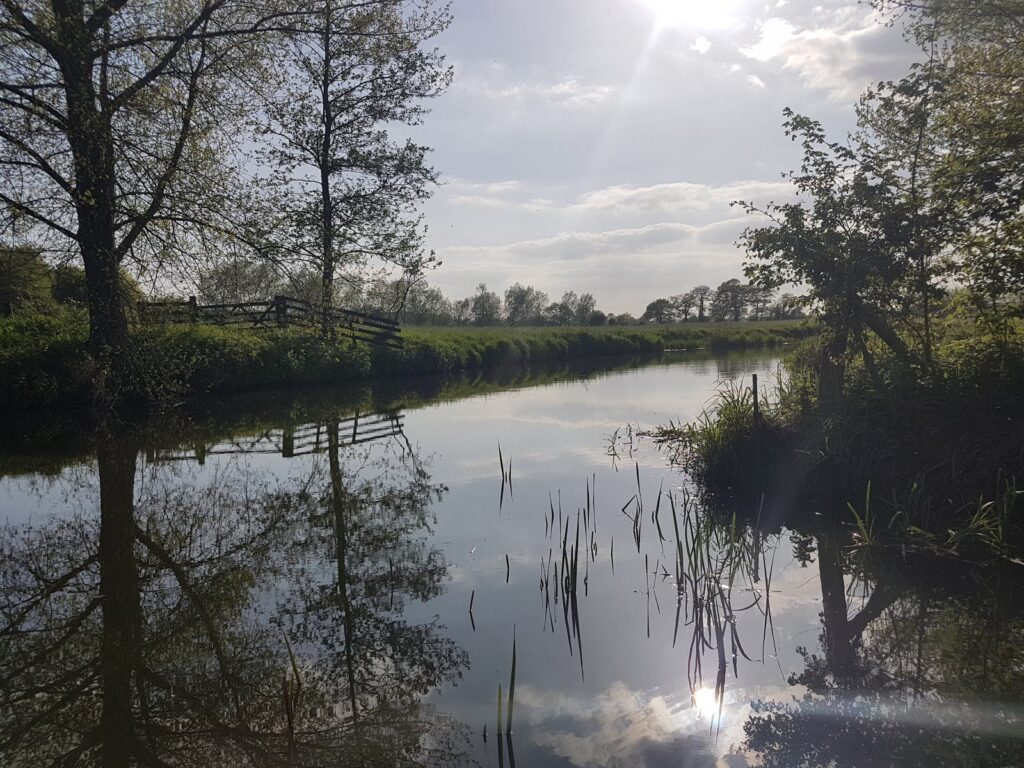 Rushbanks Farm