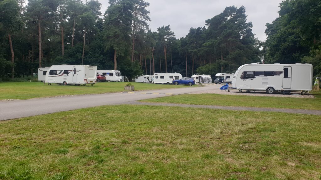 Thetford Forest Caravan Club Site