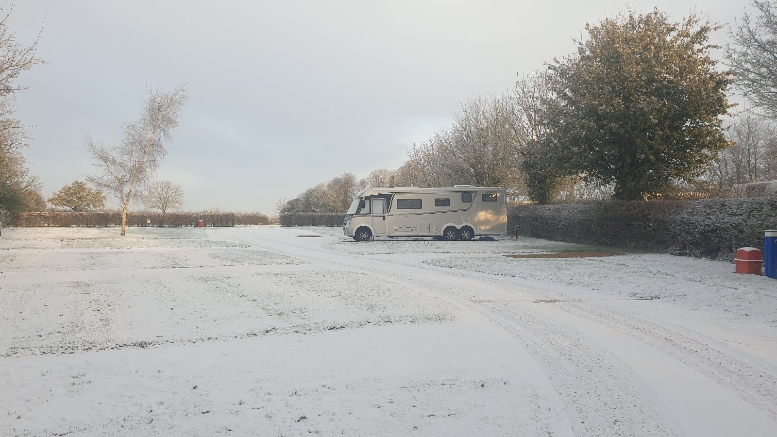 Snowy Mollington