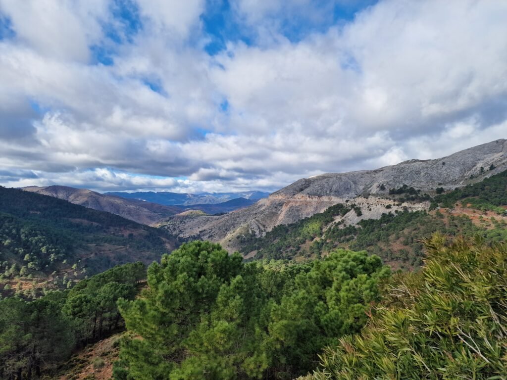 La Línea de la Concepción