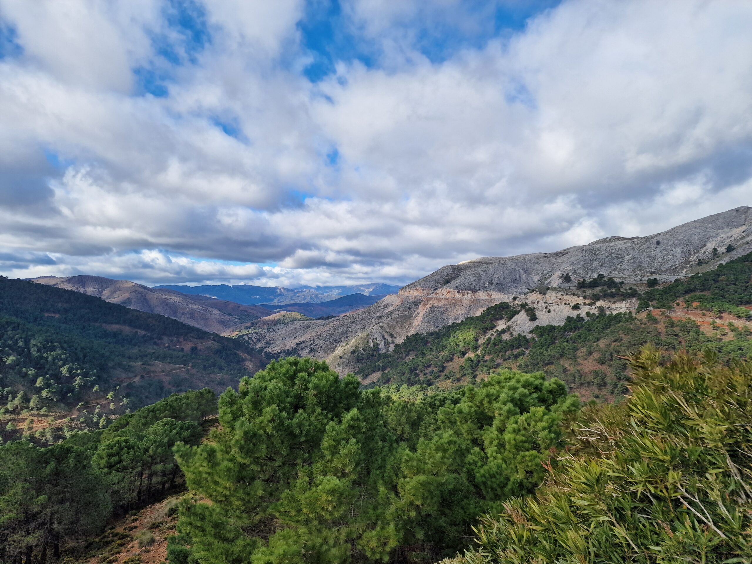 La Línea de la Concepción