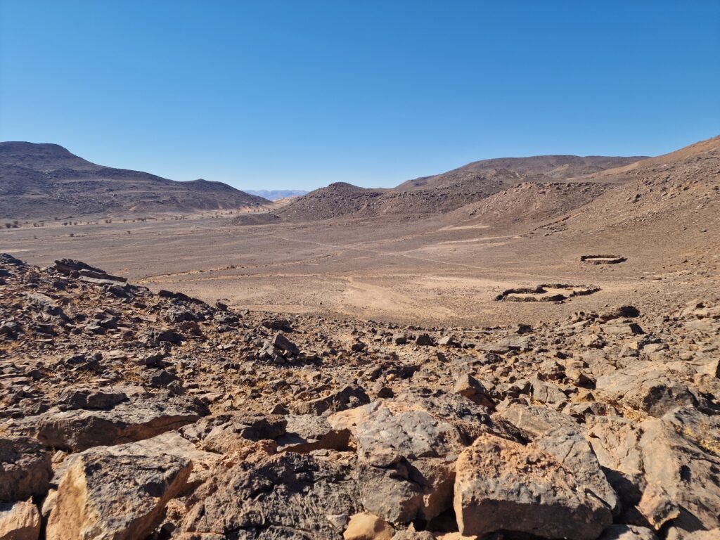Fossils of Serdrar