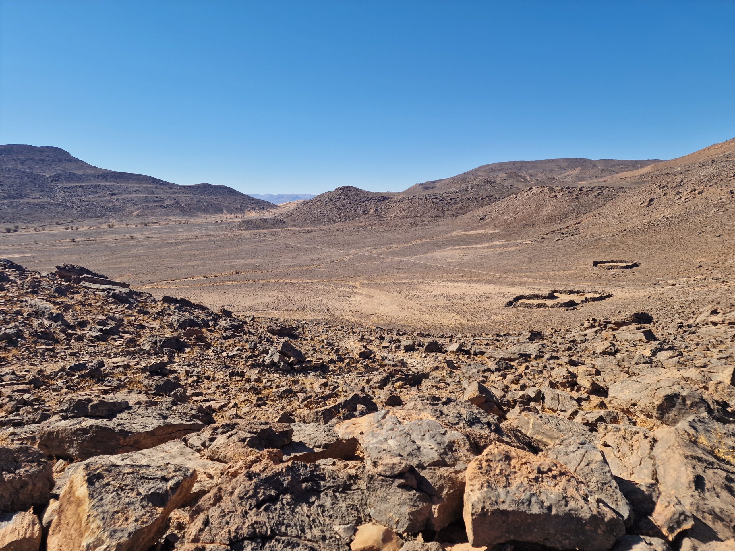 Fossils of Serdrar