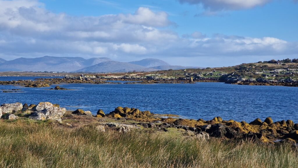 Rinville Harbour