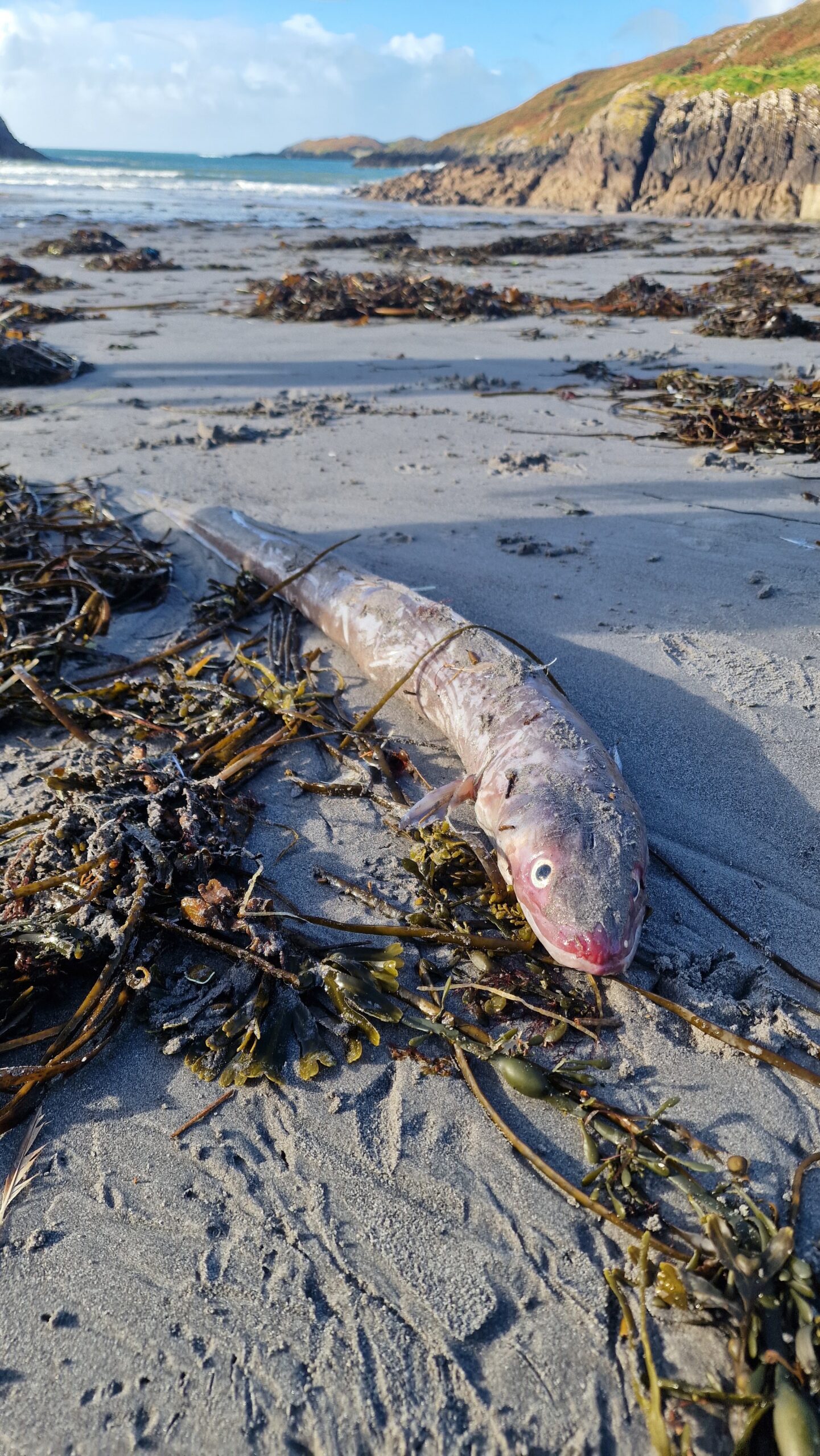 Red Strand Beach