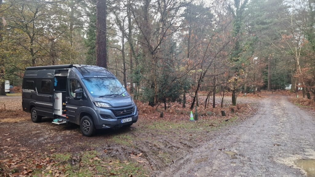 Sethorns New Forest