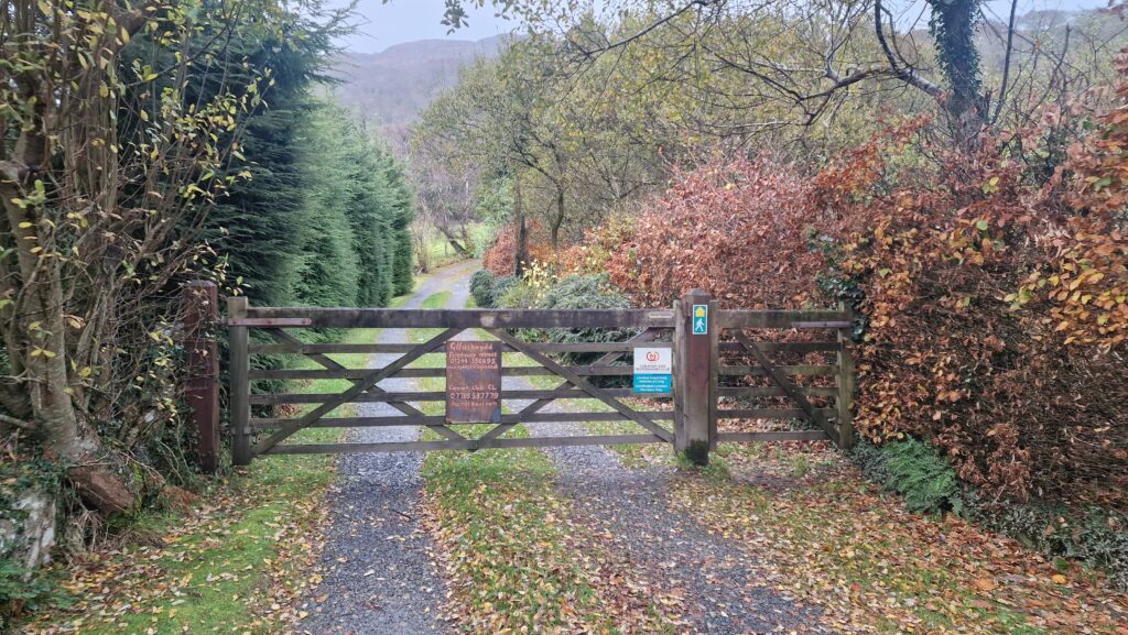 Gilfachwydd