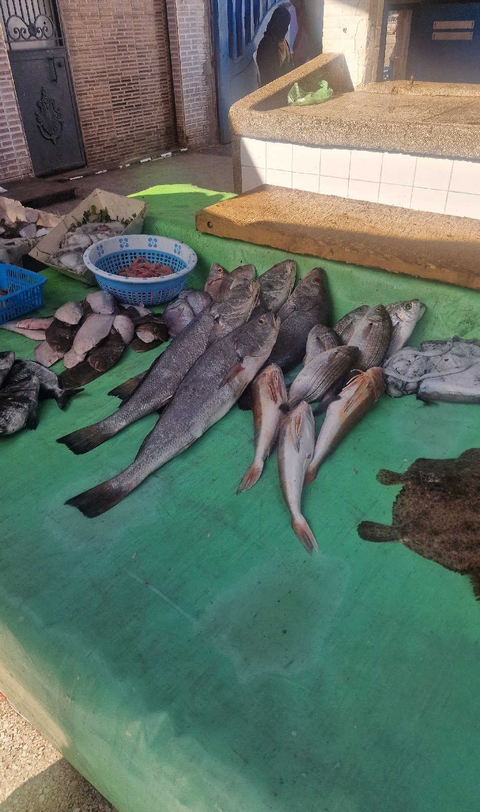 Fish Market