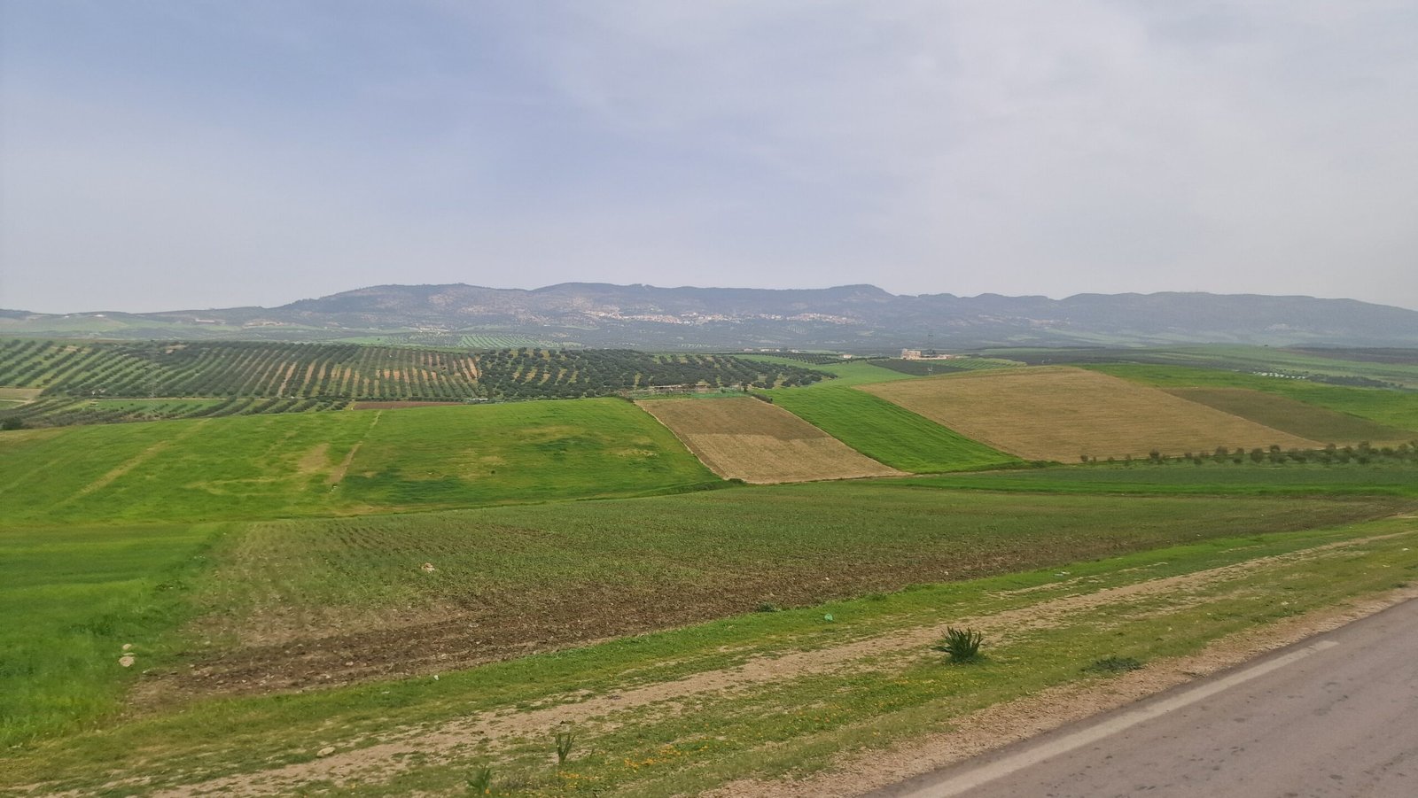 Volubilis